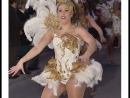 Carnaval de Mula 2014